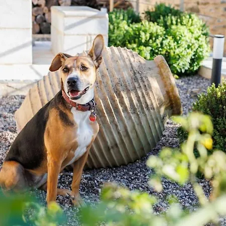 Casa de Férias Somatianá- Traditional Stone House , West Mani *