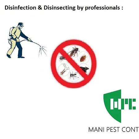 Somatianá- Traditional Stone House , West Mani Thalamai