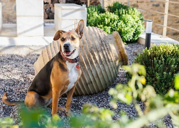 Casa vacanze Somatianá- Traditional Stone House , West Mani *